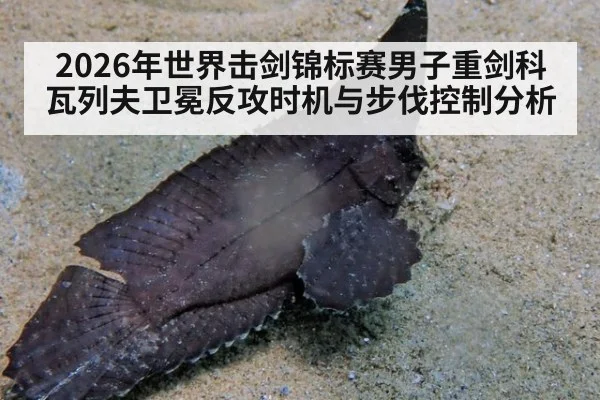 2026年世界击剑锦标赛男子重剑科瓦列夫卫冕反攻时机与步伐控制分析